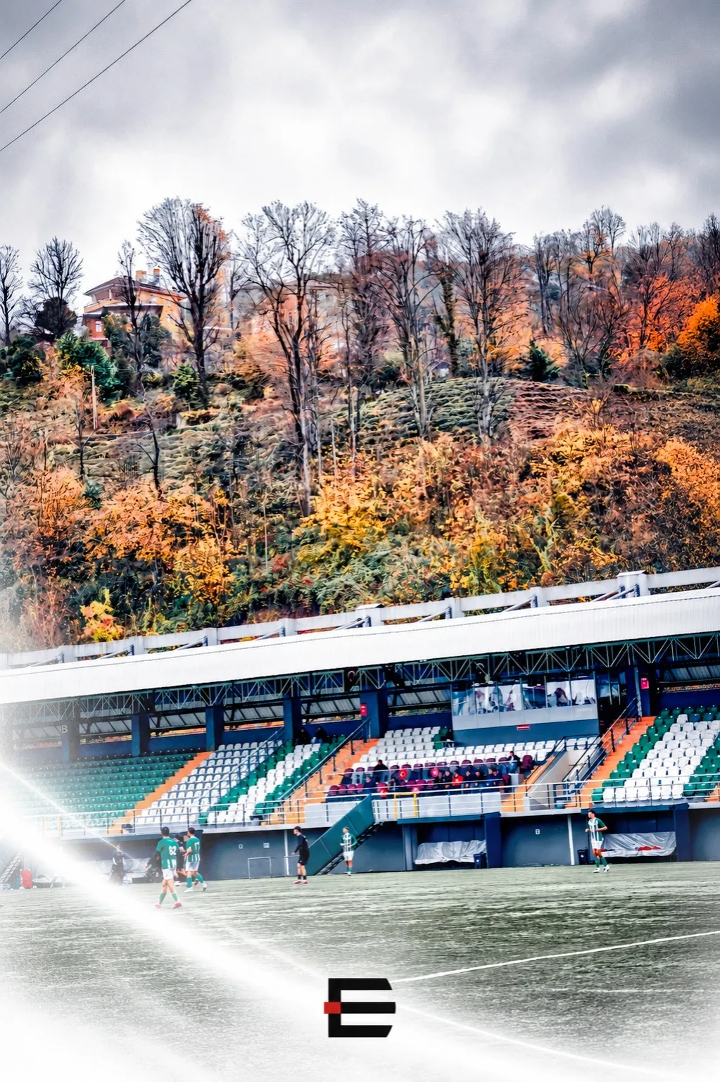 A football pitch and stands below a tree-covered hillside